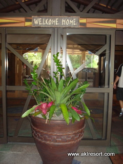 Welcome Home